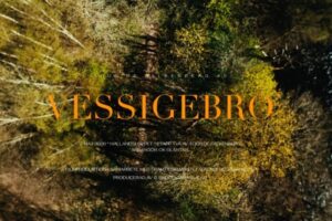 Tour de Falkenberg – Hallandsloppet 2026​